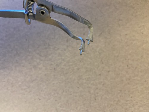 Dental Sectional Matrix Ring Forceps - Picture 2 of 2