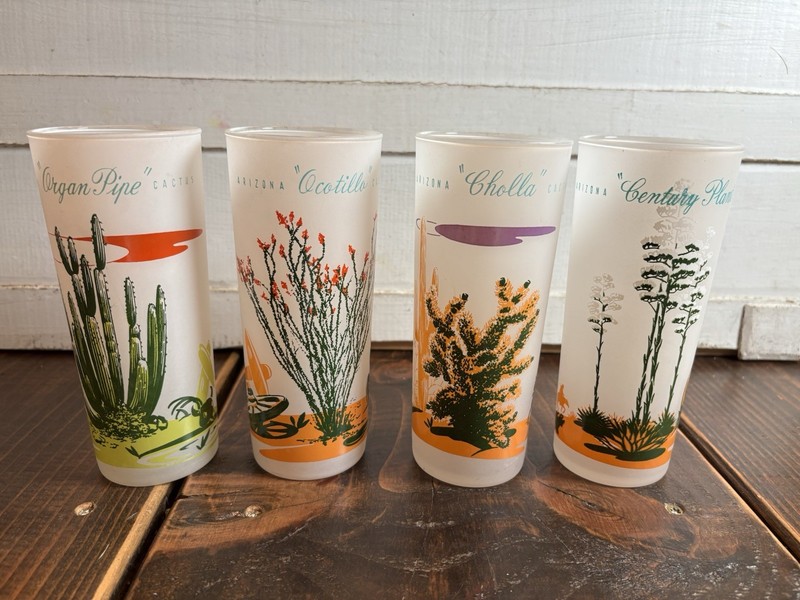 Vintage Blakely Oil Gas Arizona Cactus Frosted Highball Glasses Advertising Bar