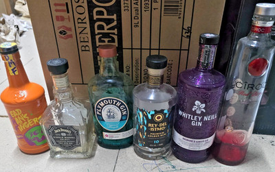 6 x leere Whisky Gin Wodka Alkohol Flaschen zum Upscaling NEUWERTIG, Don Papa, Ciroc, JW