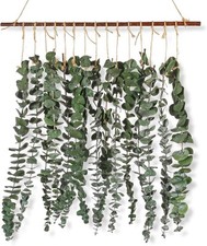 Qunwreath Bathroom Decor Real Eucalyptus for Shower Fresh Eucalyptus Stems Wall