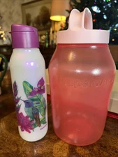 New Tupperware Shimmer Hummingbird Purple Tropical Water Bottle Flip Top Jar Lot