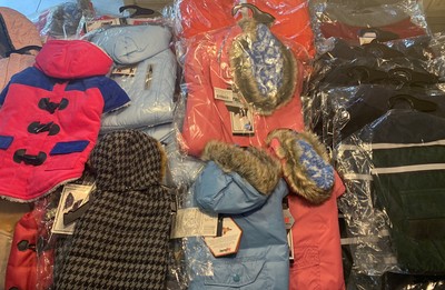 ptsd service dog ada