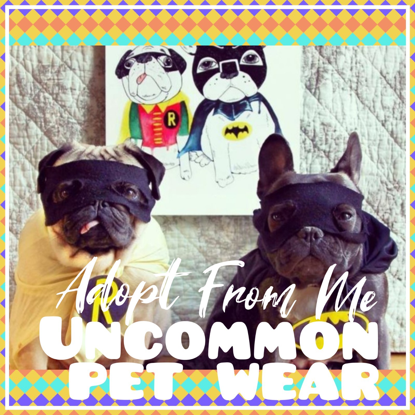 🌸Adopt (All Stuff) Today! 🌸 🌟Uncommon🌟 Cute & Ch