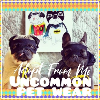  Adopt (All Stuff) Today!    Uncommon  Cute & Cheap!  PET WEAR  