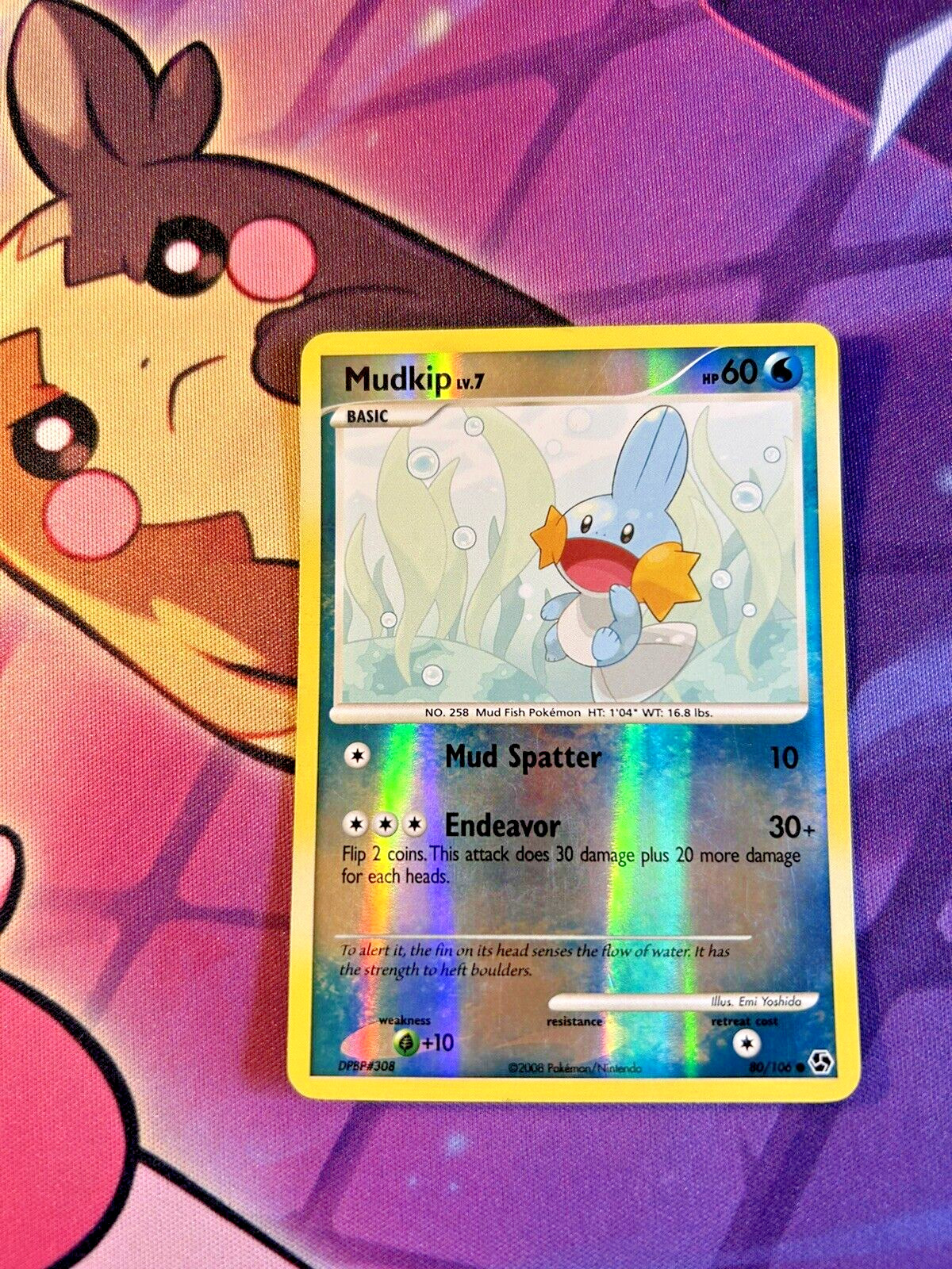 Mudkip - 80/106 [Great Encounters] Pokemon TCG - REVERSE HOLO Common - LP
