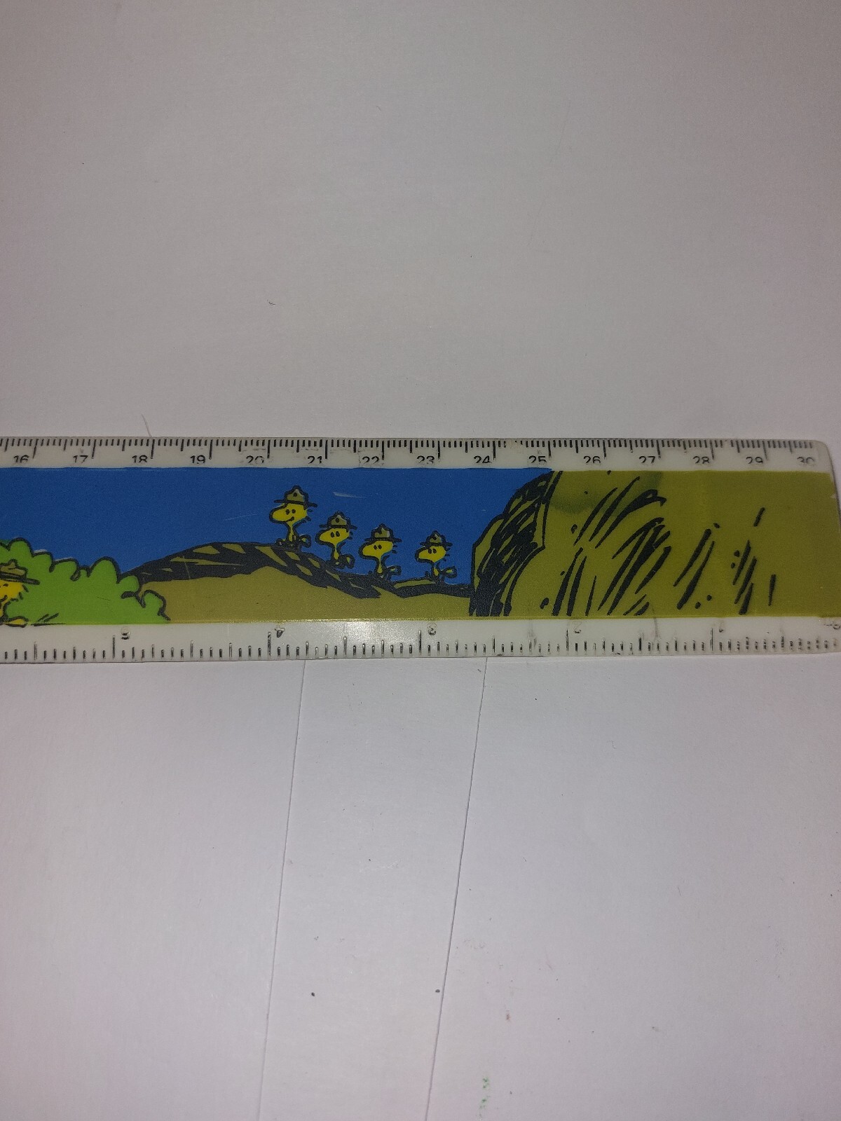 Picture 4 of 8