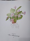 Bild 14 von 16