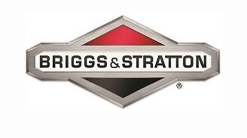 Ventil Auspuffanlage Original Briggs & Stratton 590531-image