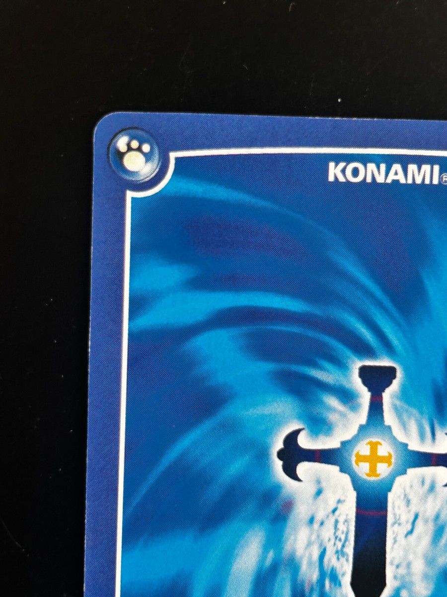 Poosya Groove Adventure Rave Master Card Rv 052 Konami