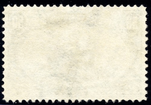 US 291 50c Trans-Mississippi 1898 Western Mining Prospector PSAG grade 95 used - Picture 2 of 3