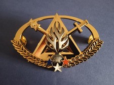 GENDARMERIE - BREVET EXPERT SECOURISME - attaches de type "pin's"