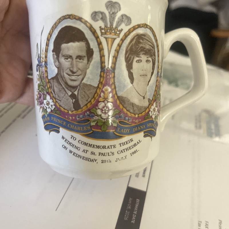 VTG 1981 Prince Charles and Lady Diana Marriage Commemorative Staffordshire Mug
