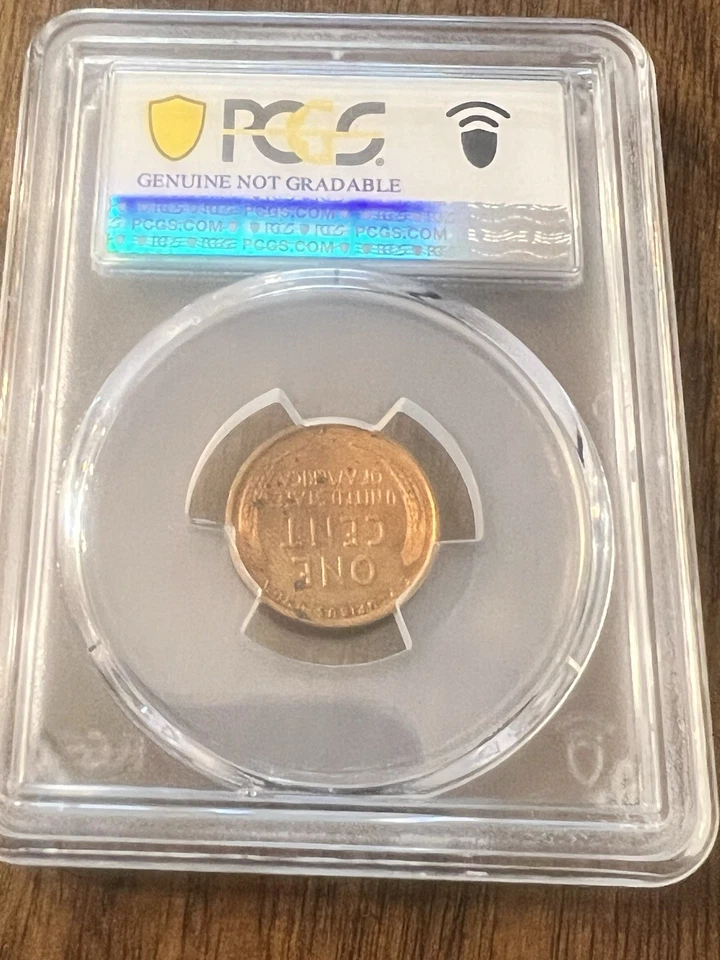 Lot Of 3 PCGS Slabbed, 1909-VDB Cent Coins, Details Grade - Image 4 of 4