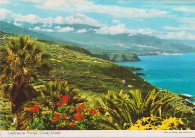 Alte Postkarte - Landscape in Tenerife, Canary Islands