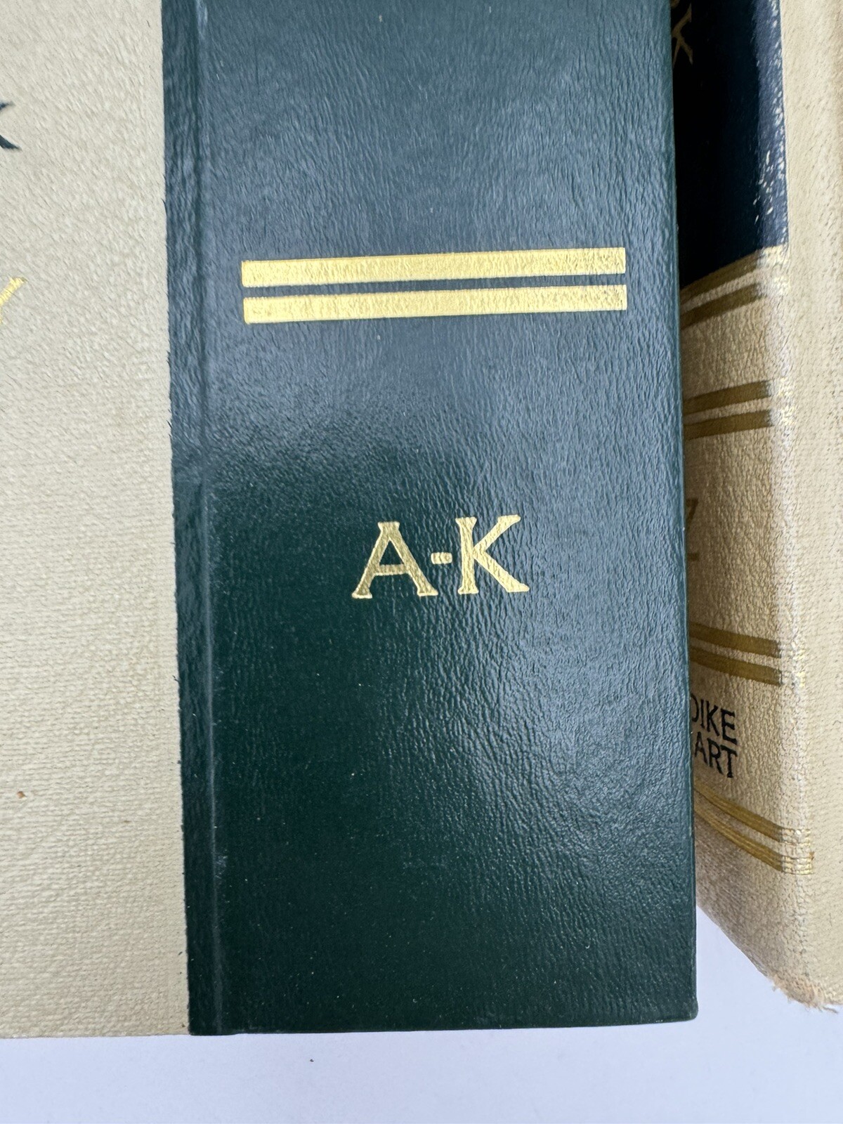 Picture 4 of 16