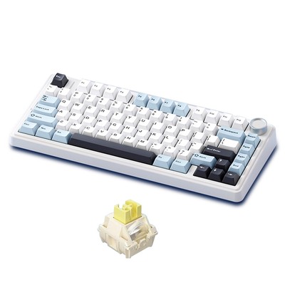 AULA F75 Mechanical Keyboard  Gasket Structure Keyboard with R1V6