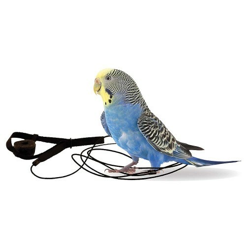 THE AVIATOR PARROT HARNESS LEASH MINI BLUE