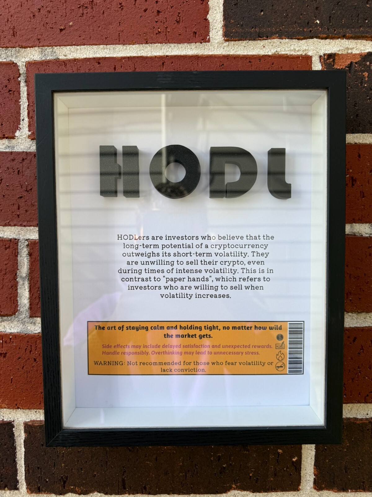 “HODL: A Piece for Those Who Believe” Wall Art