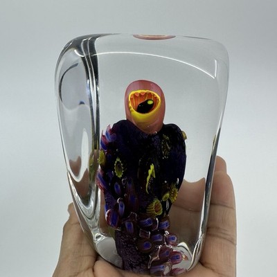 Signed Carney Art Glass Underwater Design Paperweight Vitra Art Glass