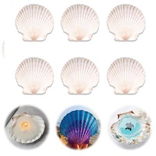 6 PCS Scallop Shells Crafts 45 Inch Natural White Large Decoration DIY Paint