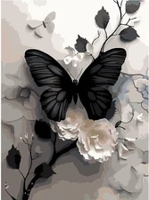 GEMFAMILY Paint by Numbers Kit for Black Butterfly, White Flowers HL6628 USA SEL