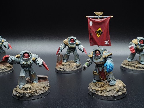 Warhammer 30k 40k Space Wolves Tartaros Terminators x5 #1 Painted G431 - Picture 7 of 8