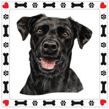 Patterdale Terrier Dog Sticker Decal A1030