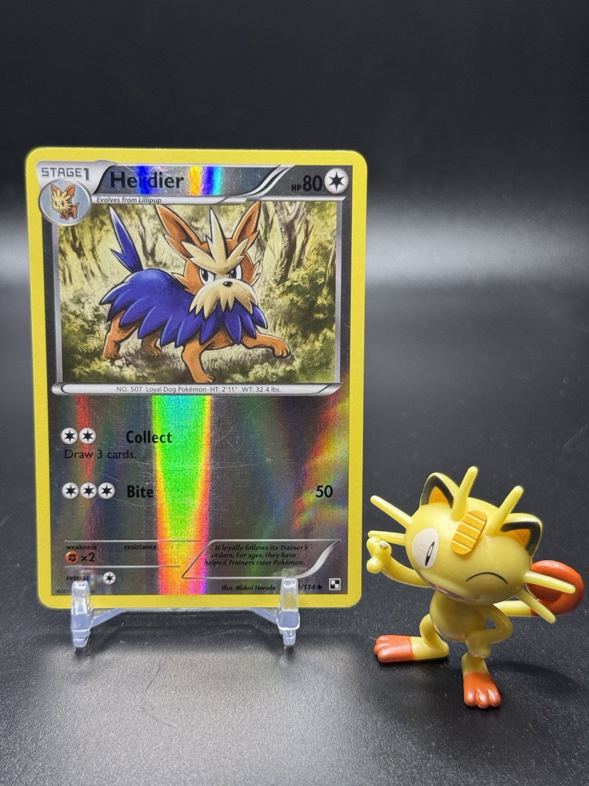 Herdier 82/114 Pokemon Black & White Reverse Holo - MP