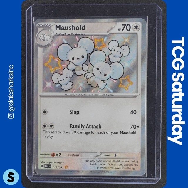 Maushold #210 (Paldean Fates (2024))