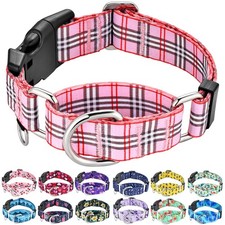Martingale Collar with Quick Release Buckle Cute Girl Female Training Dog Col...