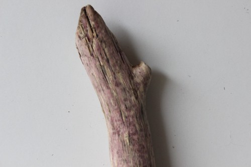 Treibholz Schwemmholz Driftwood 1 XL Ast Garderobe Dekoration - Bild 9 von 12