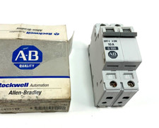 Allen-Bradley G100 10-Amp 2-Pole Miniature Circuit Breaker 1492-CB2G100