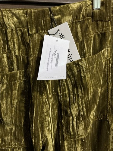 Pretty Garbage NWT Women’s Golden Olive Crushed Velvet Cargo Pants Sz Small - Picture 3 of 5
