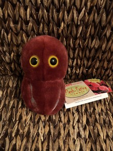 giant microbes legionella