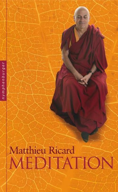 Thumbnail - Meditation Matthieu Ricard