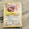 Pokémon Eevee Jungle 51/64 Regular Common Basic 50 HP English 1999 TCG