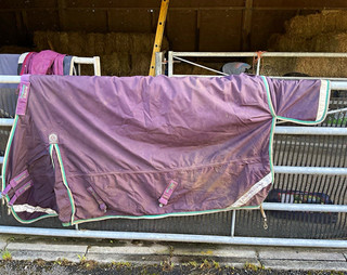 Premier Equine Buster 200 Turnout Rug 6'0" Purple/Green