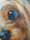 Bild 5 von 9