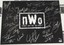 thumbnail 2 - Hulk Hogan Scott Hall Sting Bret Hart Great Muta+ Signed NWO 16x20 Photo WWE WCW