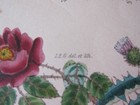 Bild 2 von 7