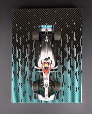 1/18 Mercedes F1 W10 Lewis Hamilton Monaco 2019 Win Wall Hanging Model Mount