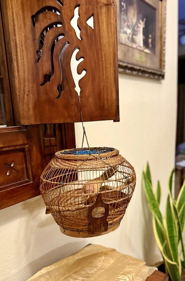 Jaula para pájaros de bambú tailandesa vintage🐲 ¡¡Envío gratuito!! Hecho a mano con pájaro en percha Foto 4 de 4