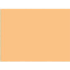 Rosco Cinegel 3408 Filter - RoscoSun 1/2 CTO - 20x24" Sheet