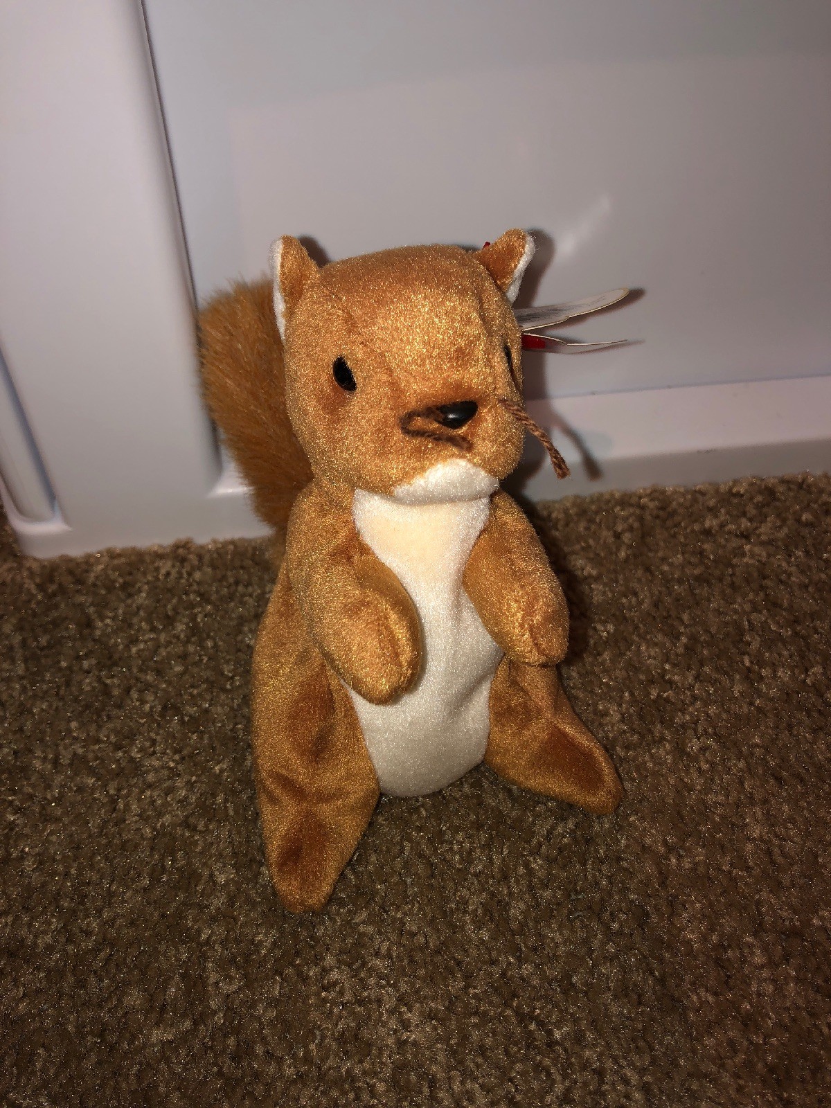 TY nuts squirrel beanie babie- excellent condition RARE LOOK TY nuts squirrel beanie babie- excellent condition RARE LOOK