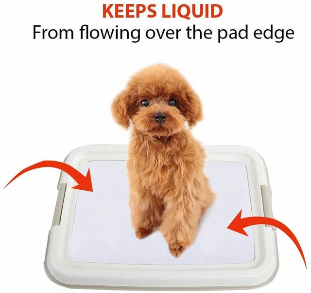 automatic puppy pad