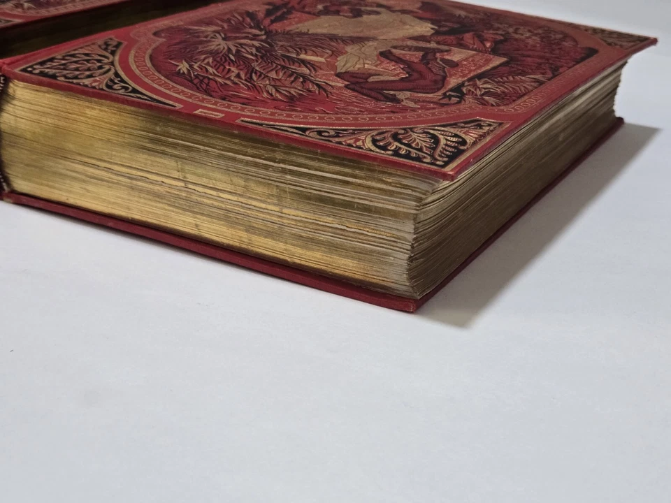 The Holy Bible Gustave Dore Illustrated 2 Volumes Italian 1897/1906 Milano READ - Image 2 of 4