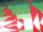 Bild 5 von 17
