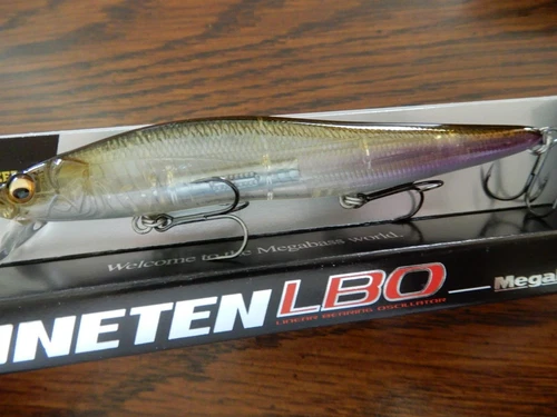 MEGABASS VISION ONETEN LBO  GP WAKASAG