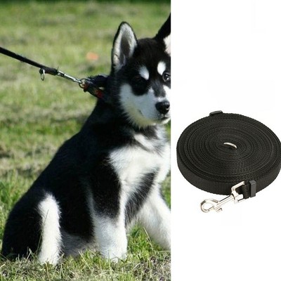 dog leash line