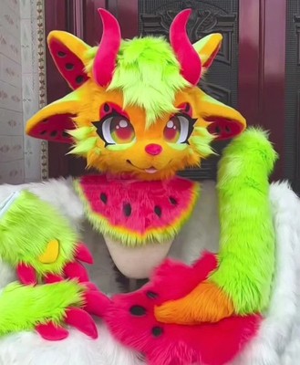 Fursuit Long Fur Husky Fox Mascot Head Party Halloween Fur Cosplay-Promotion
